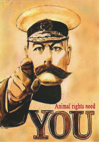 Kampagnen-Kommunikation: Eine Aktualisierung des Plakats »Lord Kitchener Wants You. Britons Join Your Country’s Army« (1914) (Ben Isacat, Animal Rights Art, <http://farm9.staticflickr.com/8518/8540867335_c4213a3980_b.jpg>, Lizenz: CC BY-NC-ND 2.0)