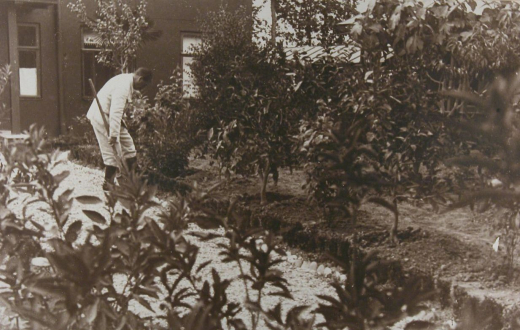Stalin pflegt sein Rosenbeet. Sotschi, 1933 (RGASPI, Fond 558)