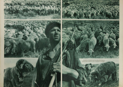 SSSR na stroike, English edition, 1939, no. 1 (January), ›Soviet Cossacks‹, unpaginated. The three-tiered background relates to the profession of the male Cossack in the front.