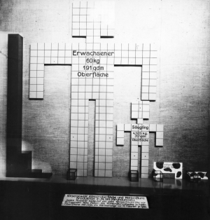 In the 1926 Great Exhibition for Public Health, Social Welfare and Physical Exercise (Große Ausstellung Gesundheitspflege, soziale Fürsorge und Leibesübungen, GeSoLei) in Düsseldorf, the largest German trade fair of the Weimar Republic, the physiology of nutrition and metabolism was one of many topics on display. Shown here are the body weight, body surface area and energy metabolism of an adult, an infant and various animals. (Deutsches Hygiene-Museum/German Hygiene Museum; photographer unknown) https://rehydrate.org/dd/pdf/dd39.pdf